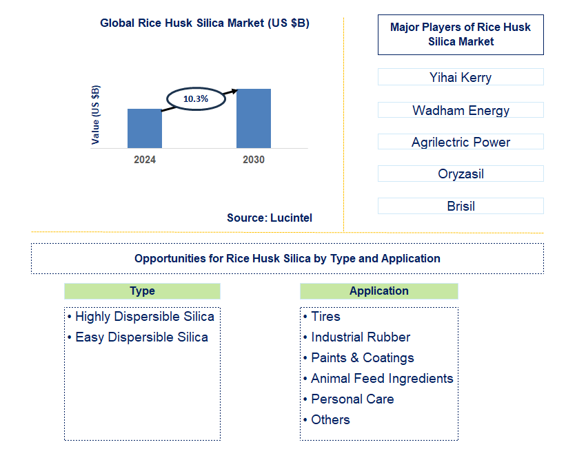 Rice Husk Silica Trends and Forecast